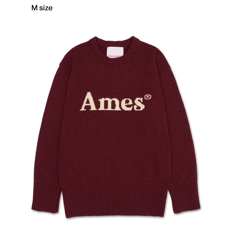 AMES-WORLDWIDE  |Casual Style Unisex Wool Street Style Long Sleeves Plain