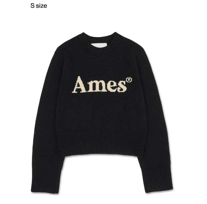 AMES-WORLDWIDE  |Casual Style Unisex Wool Street Style Long Sleeves Plain