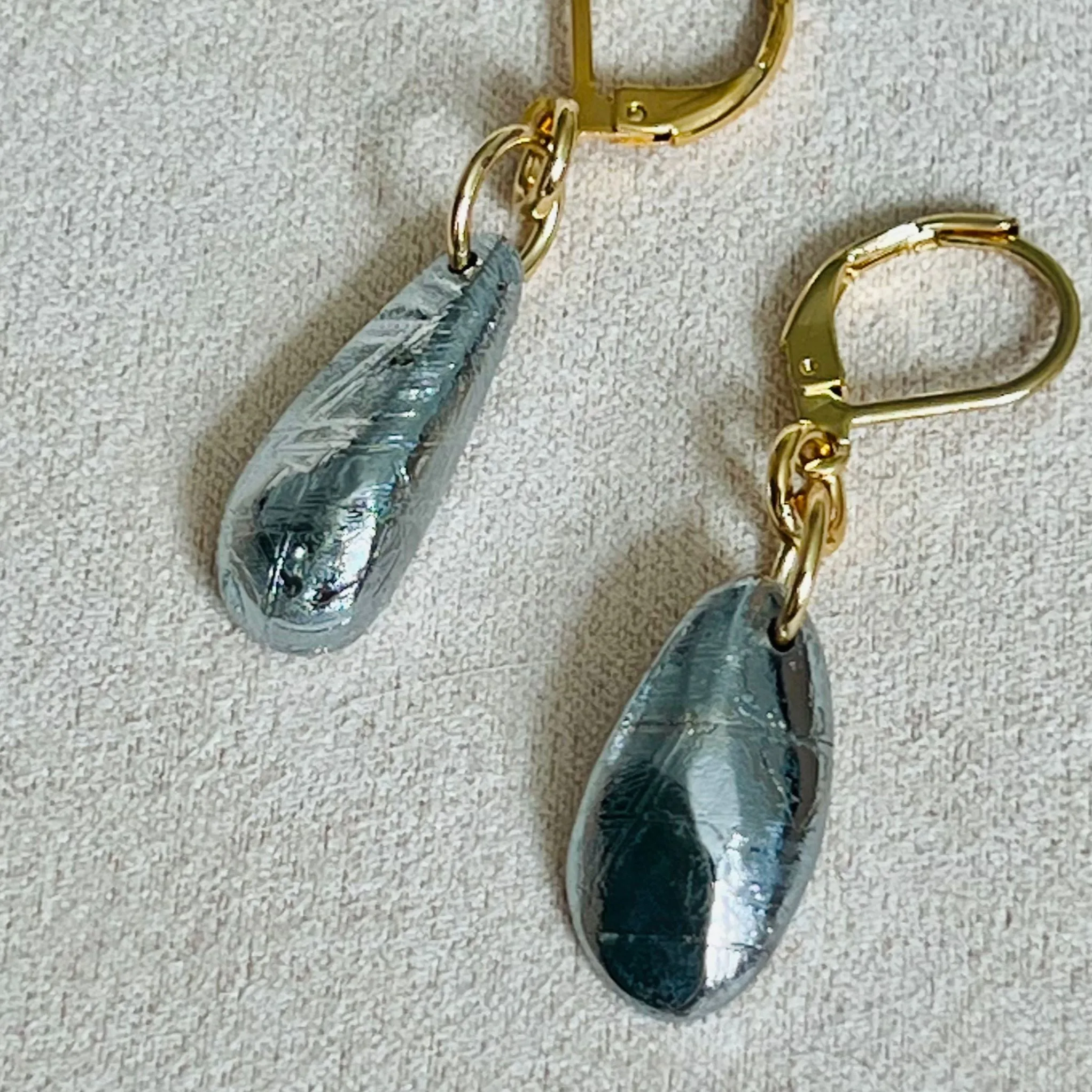 Meteorite Earrings