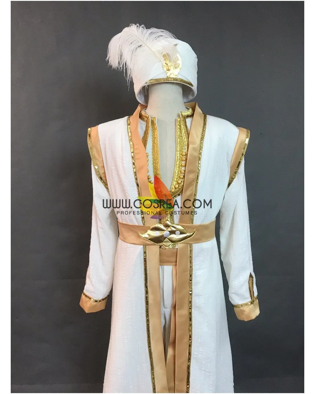 Prince Ali Live Action Movie Cosplay Costume