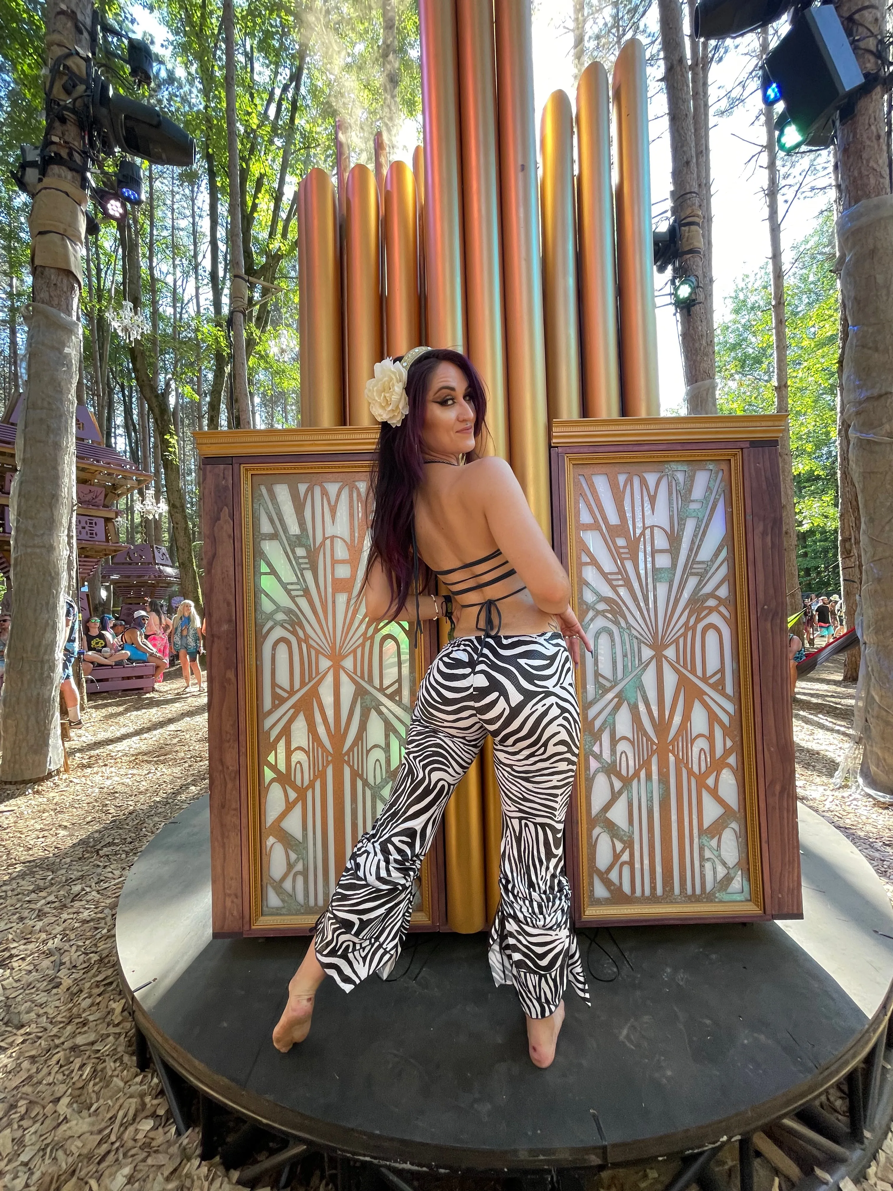 Zebra Pant